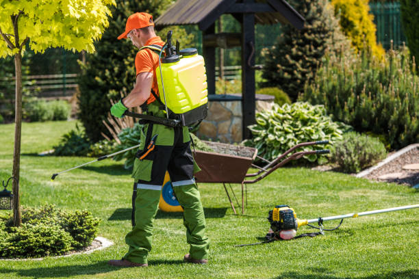 Best Mosquito Control  in Manchester, MI